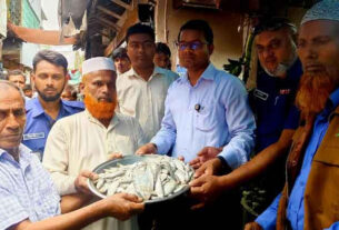 গৌরনদীতে বিপুল পরিমাণ জাটকা জব্দ; দুই ব্যবসায়ীকে জরিমানা