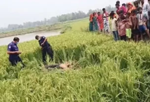 সিরাজগঞ্জে শরীরে আঘাতের চিহ্ন; তদন্তে নেমেছে পুলিশ — দৈনিক দুর্নীতির বার্তা Body of a man recovered from paddy field in Sirajganj murder suspected police investigation underway — Dainik Durnitir Barta —— dainikdurniti.com —
