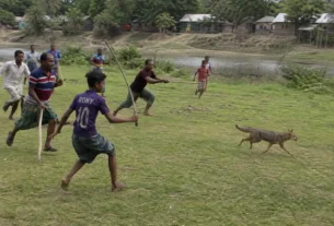 বগুড়ায় শিয়ালের আক্রমণে আতঙ্কিত গ্রামবাসী