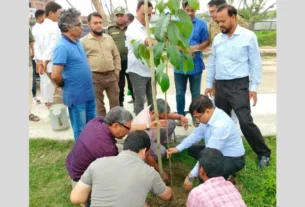 নজরুল বিশ্ববিদ্যালয়ে বৃক্ষরোপণ কর্মসূচি