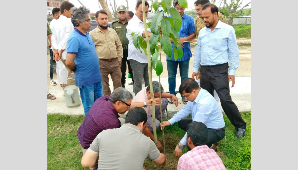 নজরুল বিশ্ববিদ্যালয়ে বৃক্ষরোপণ কর্মসূচি